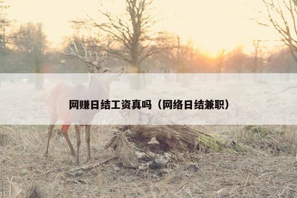 网赚日结工资真吗（网络日结兼职）