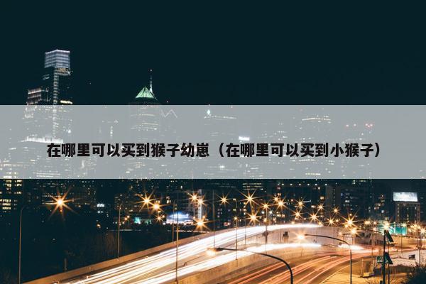 在哪里可以买到猴子幼崽（在哪里可以买到小猴子）
