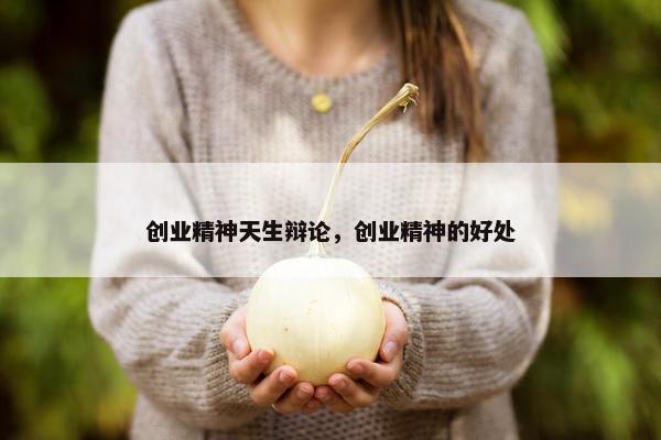 创业精神天生辩论，创业精神的好处