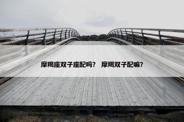 摩羯座双子座配吗？ 摩羯双子配嘛？