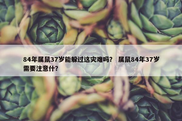 84年属鼠37岁能躲过这灾难吗？ 属鼠84年37岁需要注意什？