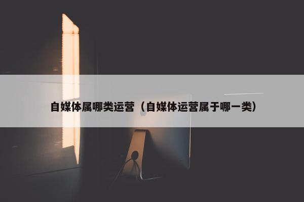 自媒体属哪类运营（自媒体运营属于哪一类）