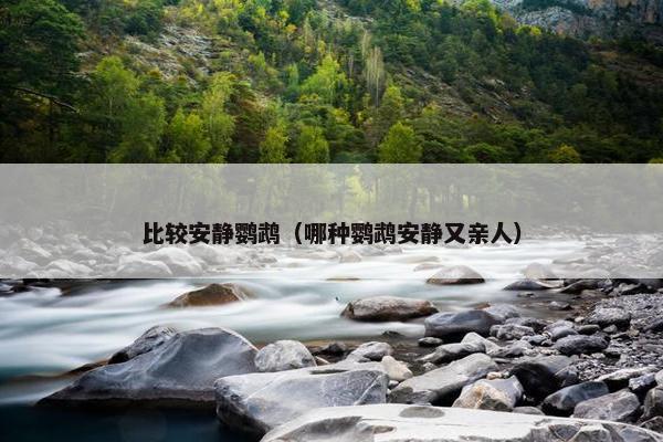 比较安静鹦鹉（哪种鹦鹉安静又亲人）