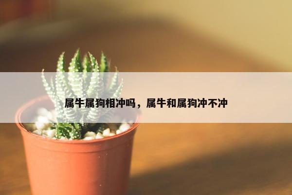 属牛属狗相冲吗，属牛和属狗冲不冲