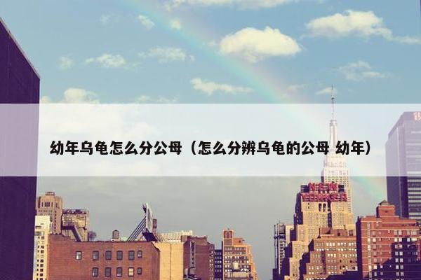 幼年乌龟怎么分公母（怎么分辨乌龟的公母 幼年）