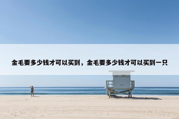 金毛要多少钱才可以买到，金毛要多少钱才可以买到一只