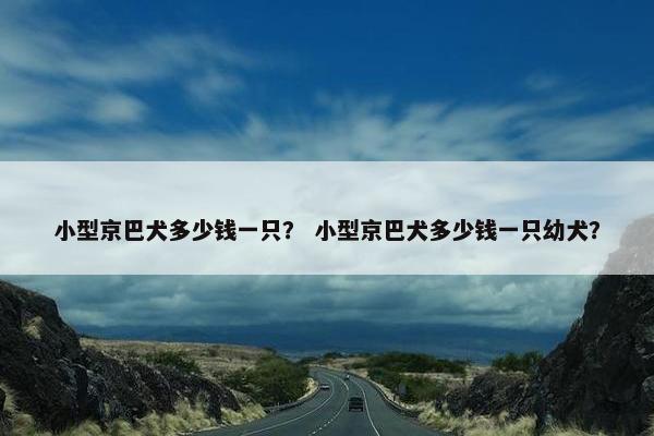 小型京巴犬多少钱一只？ 小型京巴犬多少钱一只幼犬？