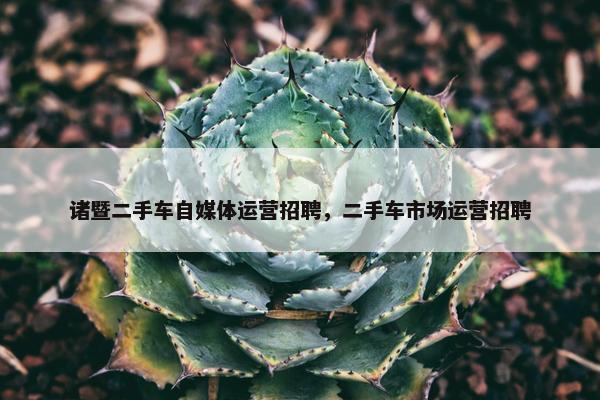 诸暨二手车自媒体运营招聘，二手车市场运营招聘
