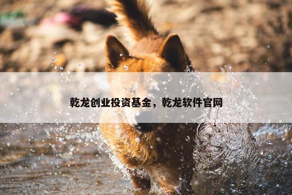 乾龙创业投资基金，乾龙软件官网