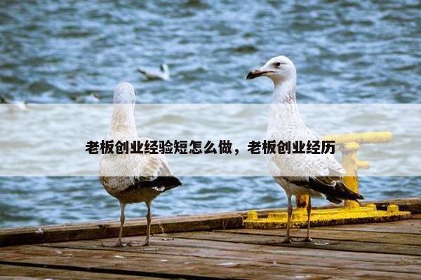 老板创业经验短怎么做，老板创业经历