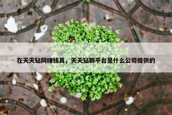 在天天钻网赚钱真，天天钻聊平台是什么公司提供的