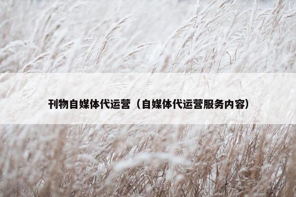 刊物自媒体代运营（自媒体代运营服务内容）