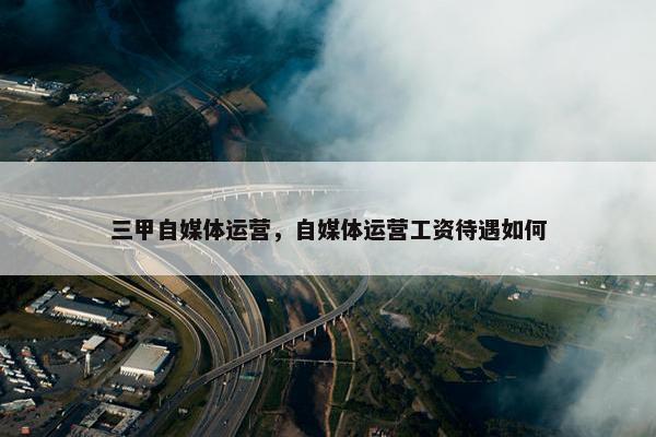 三甲自媒体运营，自媒体运营工资待遇如何