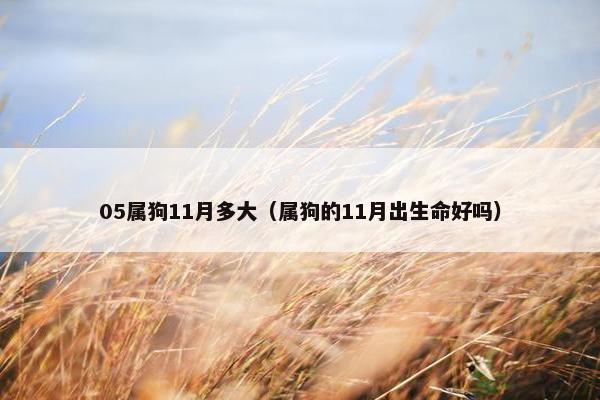 05属狗11月多大（属狗的11月出生命好吗）