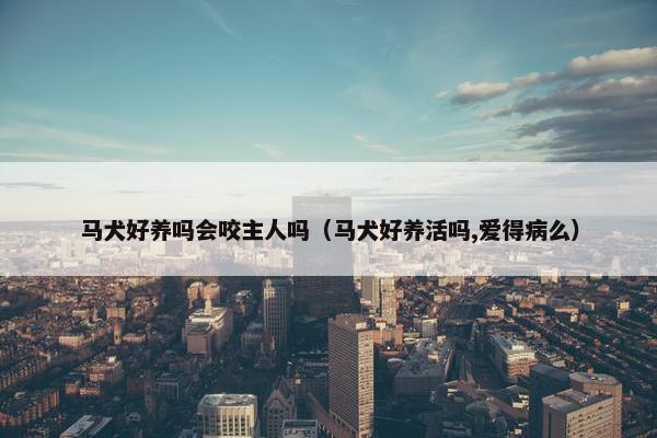 马犬好养吗会咬主人吗（马犬好养活吗,爱得病么）