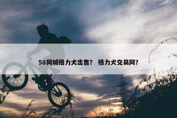 58同城格力犬出售？ 格力犬交易网？