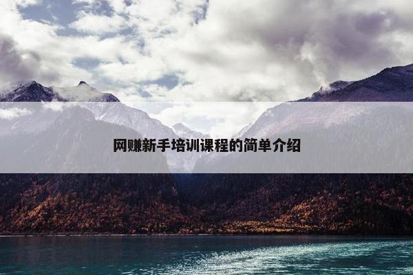 网赚新手培训课程的简单介绍