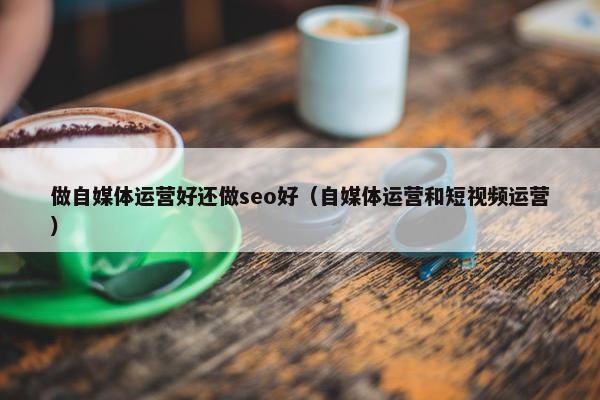 做自媒体运营好还做seo好（自媒体运营和短视频运营）