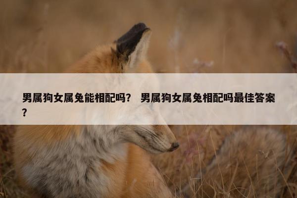 男属狗女属兔能相配吗？ 男属狗女属兔相配吗最佳答案？