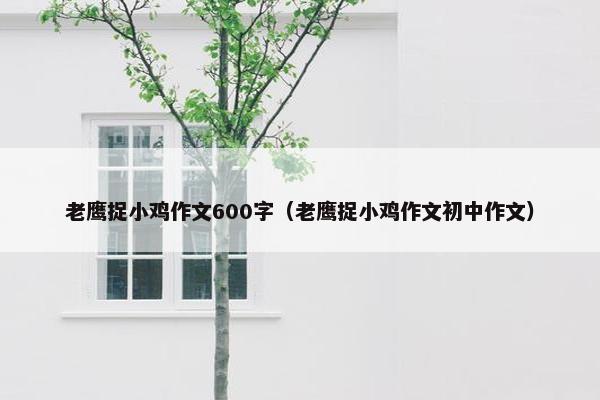 老鹰捉小鸡作文600字（老鹰捉小鸡作文初中作文）