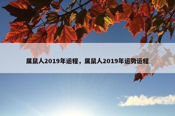 属鼠人2019年运程，属鼠人2019年运势运程
