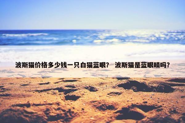 波斯猫价格多少钱一只白猫蓝眼？ 波斯猫是蓝眼睛吗？
