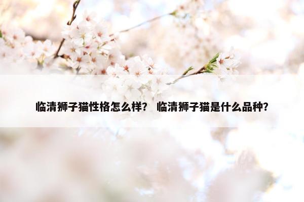 临清狮子猫性格怎么样？ 临清狮子猫是什么品种？