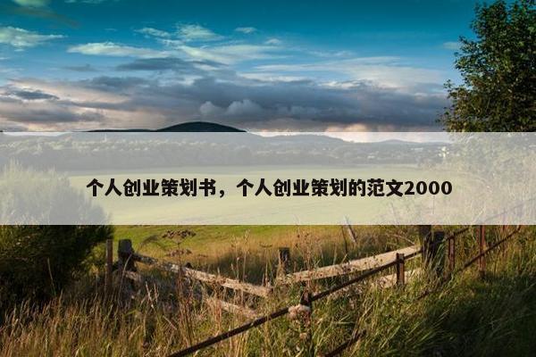 个人创业策划书，个人创业策划的范文2000