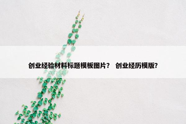 创业经验材料标题模板图片？ 创业经历模版？