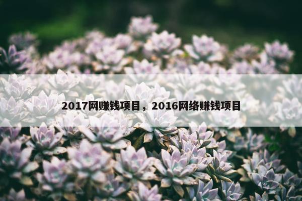 2017网赚钱项目，2016网络赚钱项目