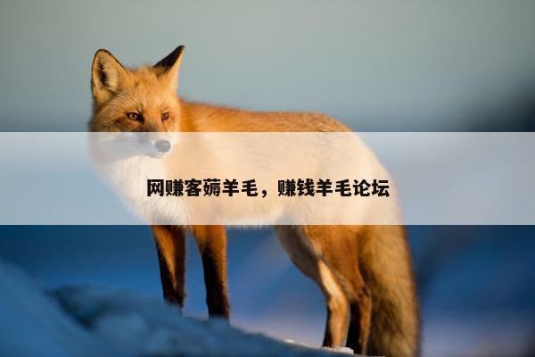 网赚客薅羊毛，赚钱羊毛论坛