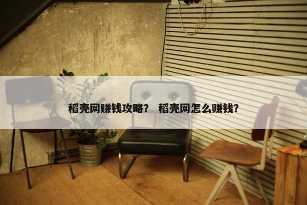 稻壳网赚钱攻略？ 稻壳网怎么赚钱？