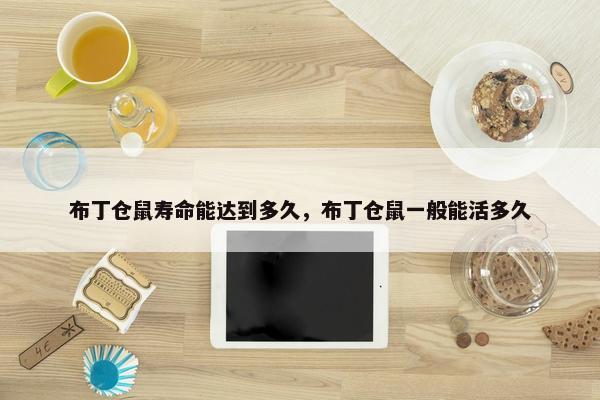 布丁仓鼠寿命能达到多久，布丁仓鼠一般能活多久