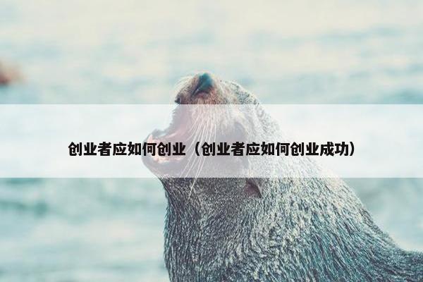创业者应如何创业（创业者应如何创业成功）
