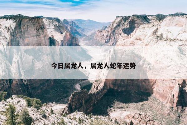 今日属龙人，属龙人蛇年运势