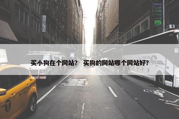 买小狗在个网站？ 买狗的网站哪个网站好？