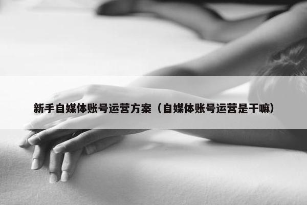 新手自媒体账号运营方案（自媒体账号运营是干嘛）