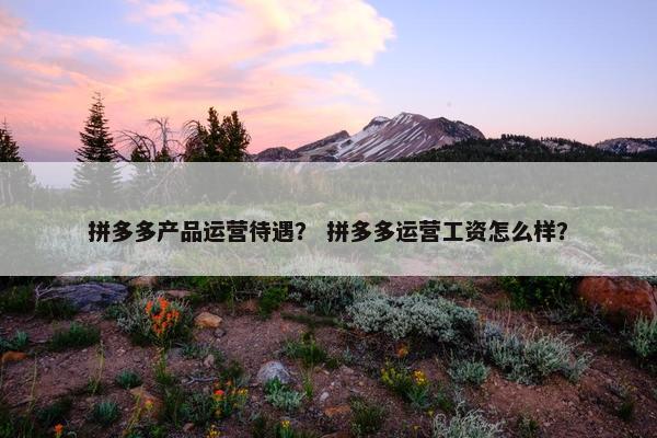 拼多多产品运营待遇？ 拼多多运营工资怎么样？