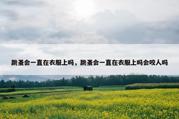 跳蚤会一直在衣服上吗，跳蚤会一直在衣服上吗会咬人吗