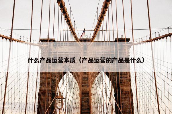 什么产品运营本质（产品运营的产品是什么）