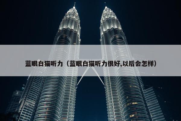 蓝眼白猫听力（蓝眼白猫听力很好,以后会怎样）