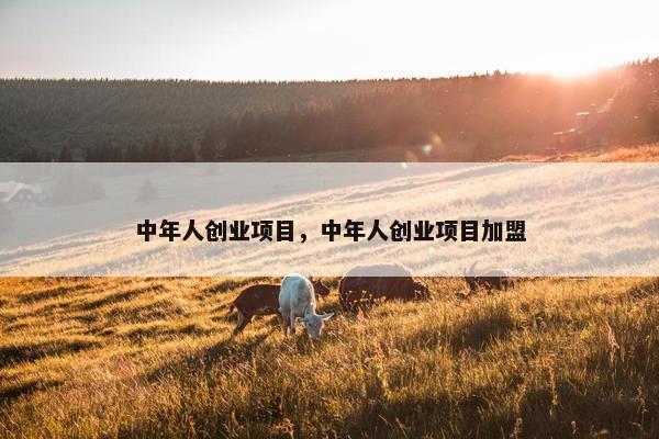 中年人创业项目，中年人创业项目加盟