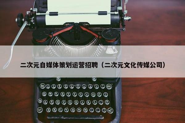 二次元自媒体策划运营招聘（二次元文化传媒公司）