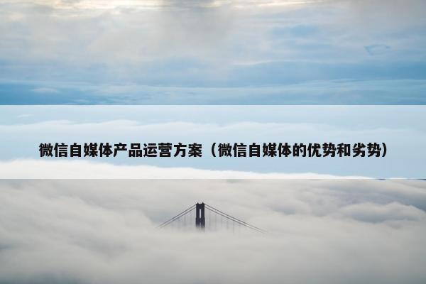 微信自媒体产品运营方案（微信自媒体的优势和劣势）