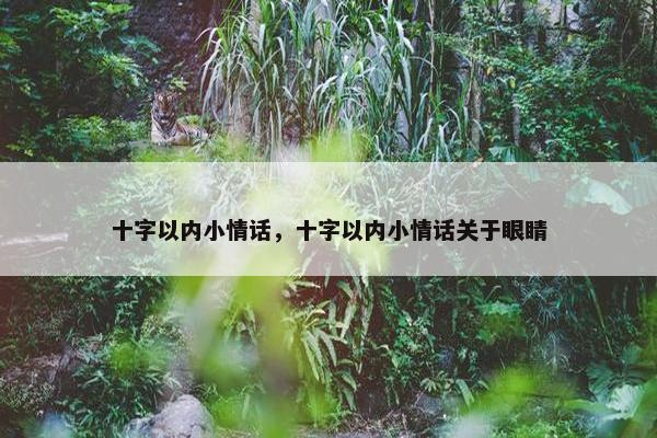十字以内小情话，十字以内小情话关于眼睛
