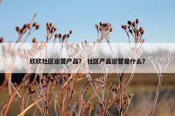 欣欣社区运营产品？ 社区产品运营是什么？