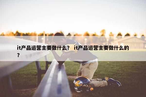 it产品运营主要做什么？ it产品运营主要做什么的？