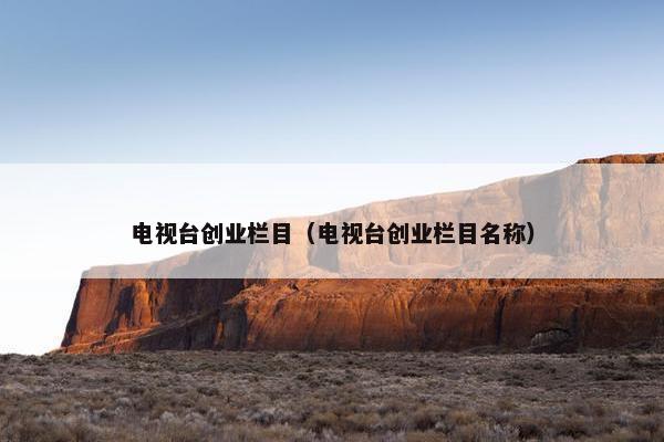 电视台创业栏目（电视台创业栏目名称）