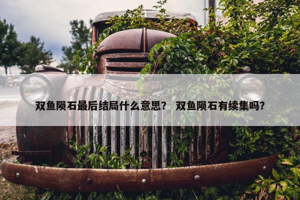 双鱼陨石最后结局什么意思？ 双鱼陨石有续集吗？