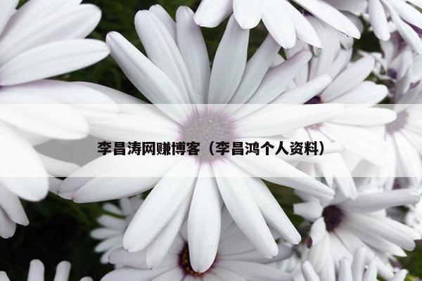 李昌涛网赚博客（李昌鸿个人资料）